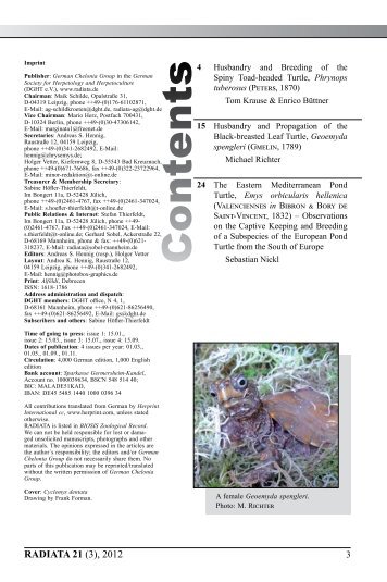 Radiata2012(3)e