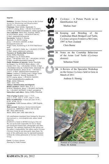 Radiata2012(4)e