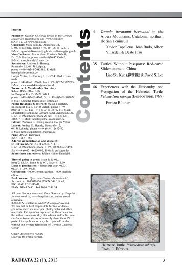 Radiata2013(1)e
