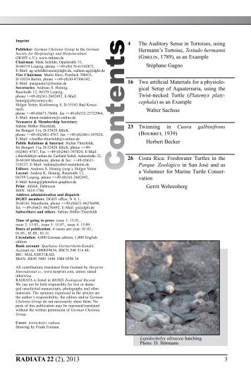 Radiata2013(2)e