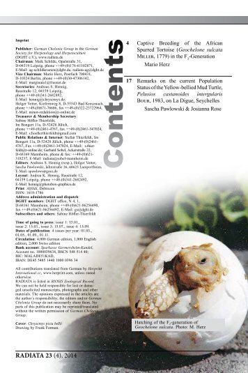 Radiata2014(4)e