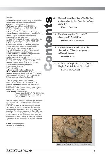 Radiata2016(3)e