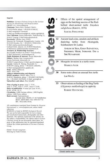 Radiata2016(4)e