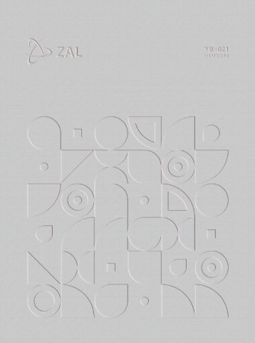 ZAL-YB-021