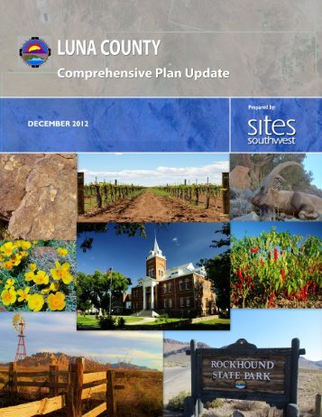 Approved Comprehensive Plan - Luna County