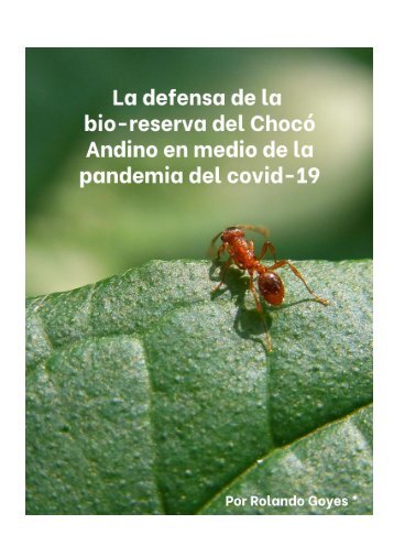 La defensa de la bio-reserva del Chocó Andino en medio de la pandemia del covid-19 por Rolando Goyes