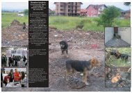 Bosnien-Sarajevo - Tierhilfe Süden
