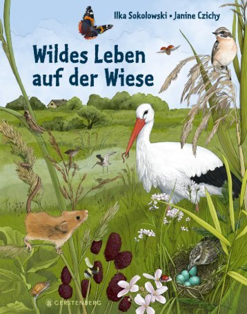 Ilka Sokolowski: Wildes Leben auf der Wiese