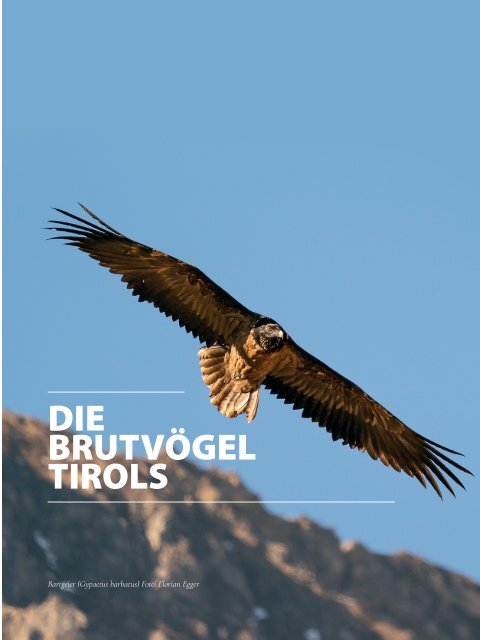 Atlas der Brutvögel Tirols | Verbreitung, Häufigkeit, Lebensräume