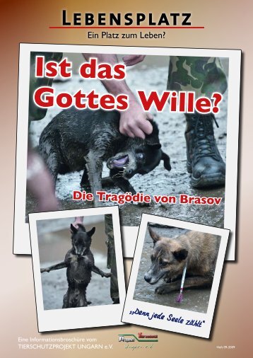 Ist das Gottes Wille?