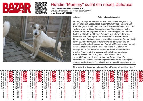 Hündin "Mummy" sucht ein neues Zuhause - Bazar.at