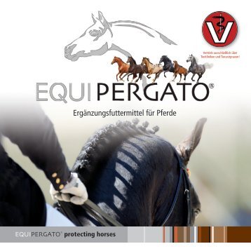 Equipergato Katalog Pferd 2022