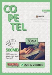 COPETEL 234