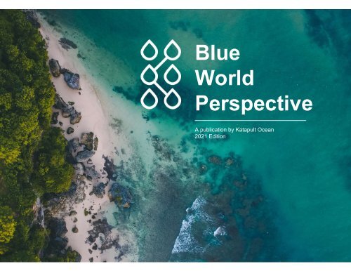 The Blue World Perspective 2021