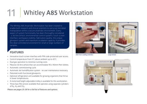 Don Whitley Broschüre - Anaerobe und mikroaerobe Arbeitsstationen