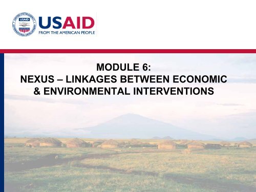 Phase 2: Assessment - (PDF, 101 mb) - USAID