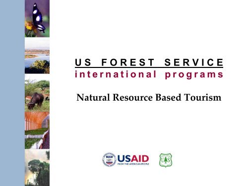 Phase 2: Assessment - (PDF, 101 mb) - USAID