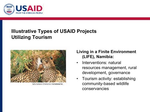 Phase 2: Assessment - (PDF, 101 mb) - USAID