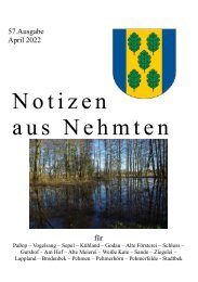 57_NaN-Ausgabe