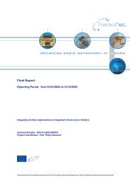 Advanced Radio Astronomy in Europe Final Report - RadioNet