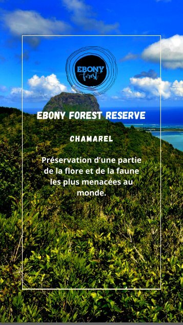 Booklet French
