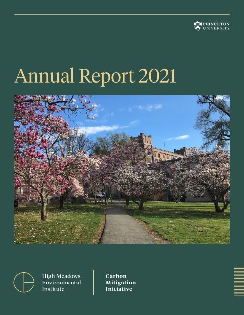 CMI Annual Report 2021