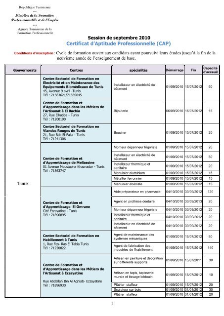 Certificat D Aptitude Professionnelle Cap Ministere De L Emploi