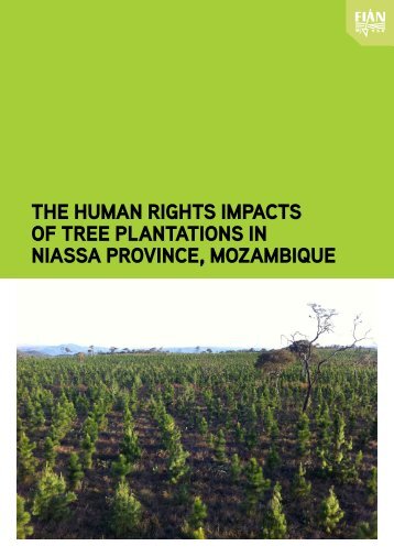 The Human Rights Impacts of Tree Plantations in - Transnational ...