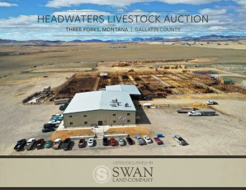 Headwaters Livestock Auction Offering Brochure 