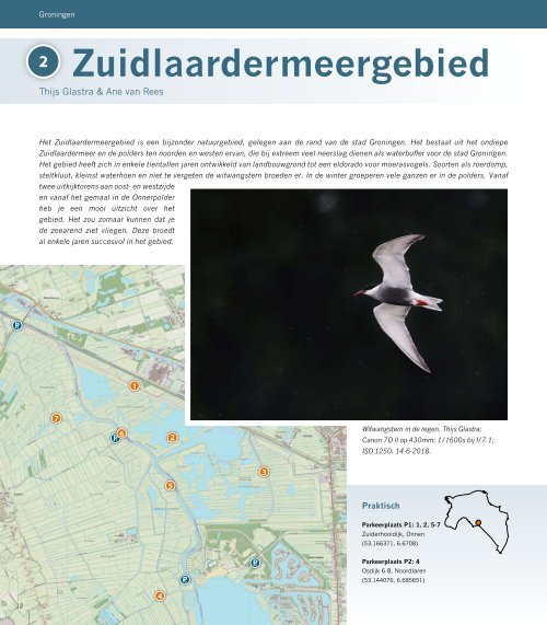 De beste vogelgebieden van Nederland
