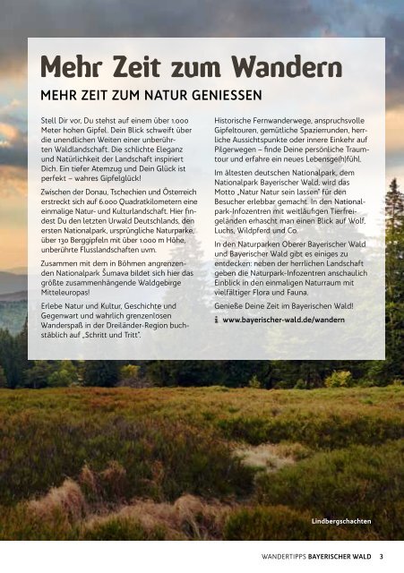 Wandertipps Bayerischer Wald 2022