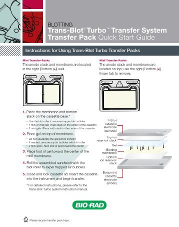 Trans-Blot® Turbo™ Transfer System Transfer Pack Quick ... - Bio-Rad