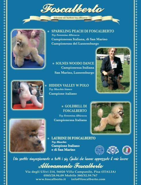 Barboni - Club Cani Compagnia