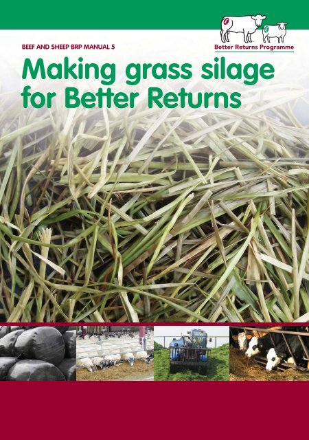 Making Grass Silage for Better Returns - Eblex