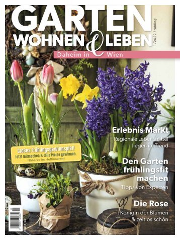 G_MAG_WIEN_screen