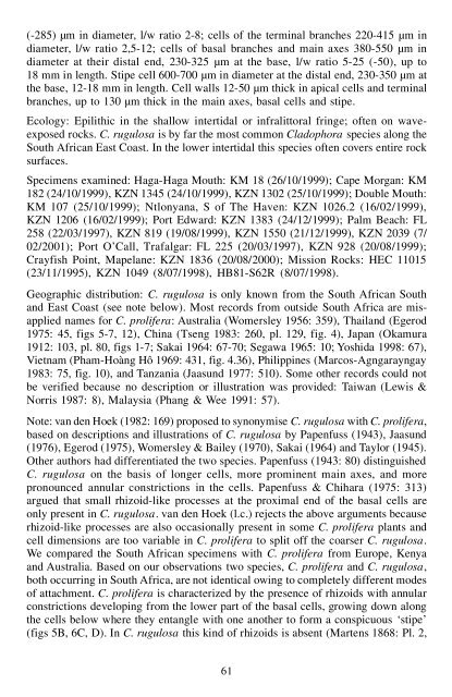 The marine species of Cladophora (Chlorophyta) from the South ...