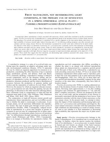 floerkea proserpinacoides (limnanthaceae) - American Journal of ...