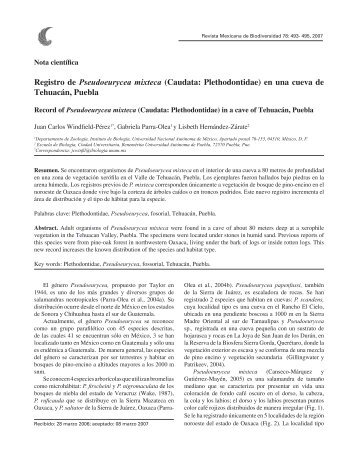 Caudata: Plethodontidae - E-journal - UNAM