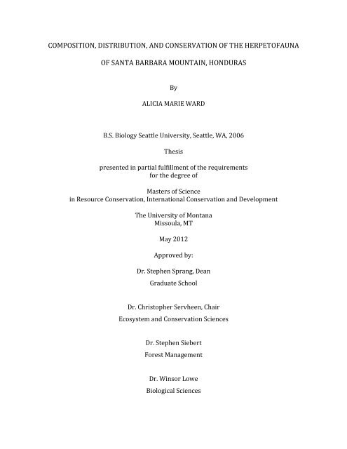 Master thesis 2006