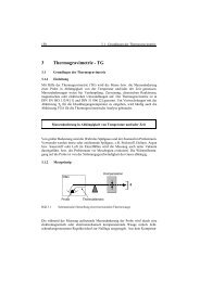 Leseprobe