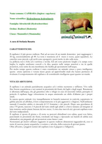 Nome comune: CAPIBARA (Inglese: capybara) - Animali e animali