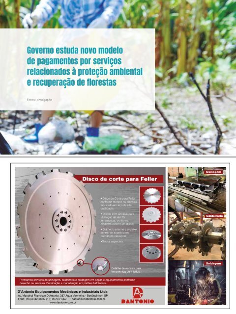 Florestal_240Web