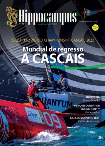 Hippocampus Nº 41