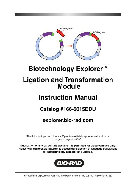 Biotechnology Explorer™ Ligation and Transformation ... - Bio-Rad