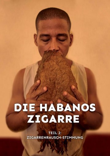 Die Habanos Zigarre Teil 2 - Zigarrenrausch-Stimmung