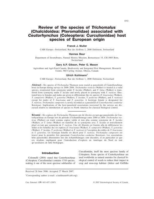 Review of the species of Trichomalus - Naturhistorisches Museum ...