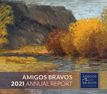 2021 Amigos Bravos 2021 Annual Report 