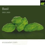 Leaflet Basil 2022