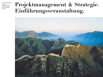 Projektmanagement & Strategie. Projektziele.