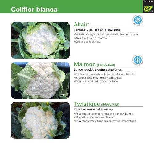 Folleto de Brassicas 2023